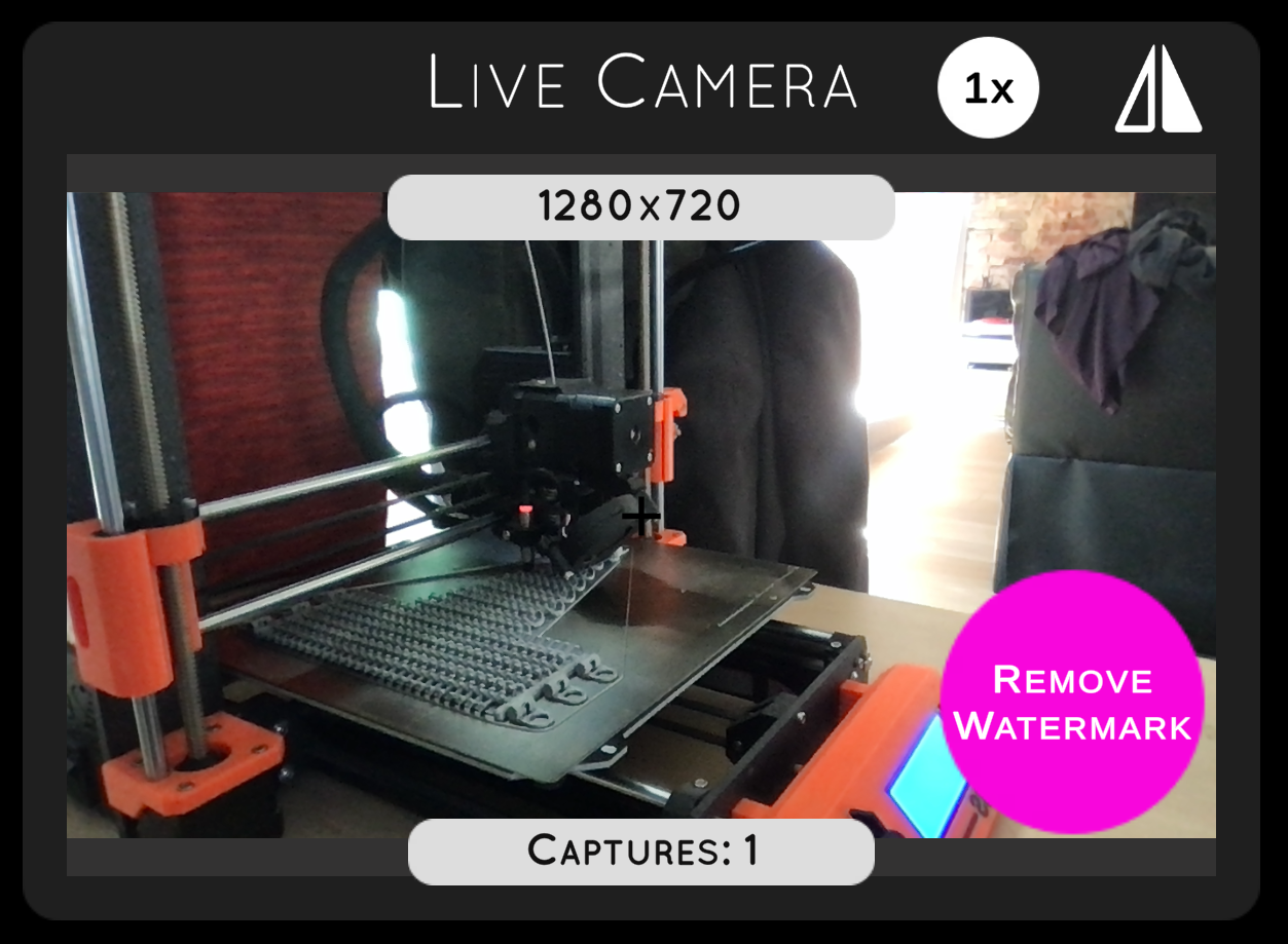 Live Camera Feed with Control Options